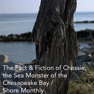 Chessie the Sea Monster Feature Link