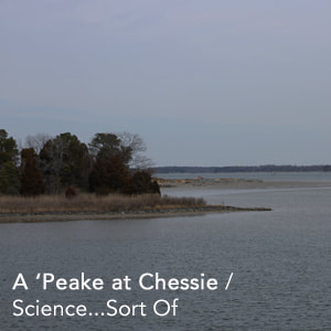 A 'Peake at Chessie Link Science...Sort of Podcast